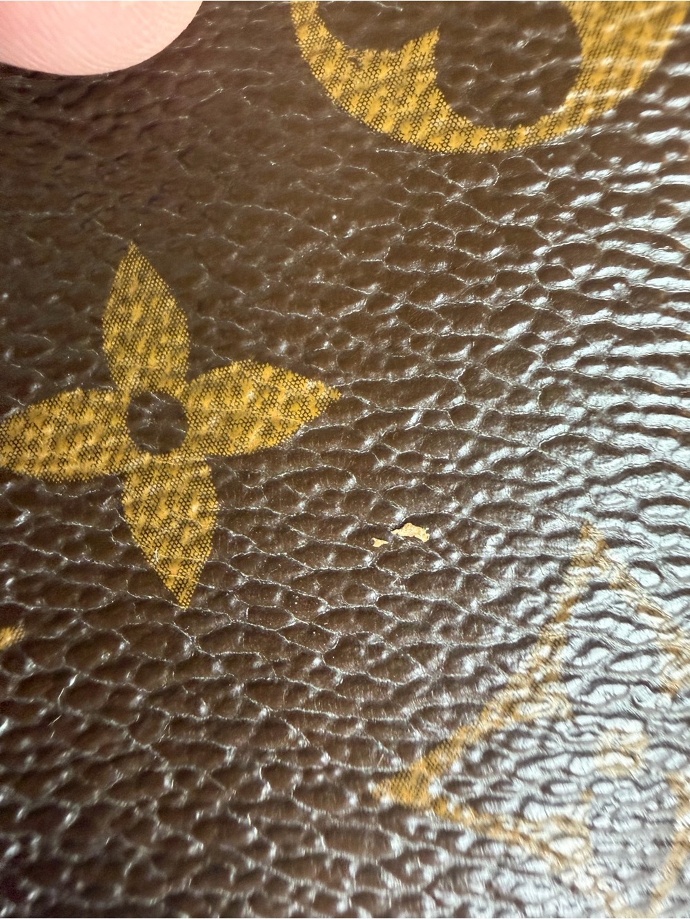 Louis Vuitton Delightful PM - Monogram Canvas - Picture 5 of 15